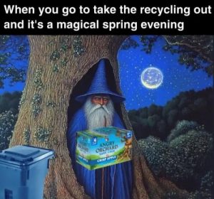 Stupid Bar Memes oringsevening