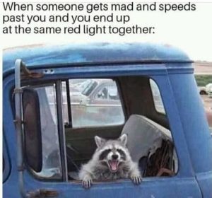 Stupid Bar Memes raccstsdrivesssame