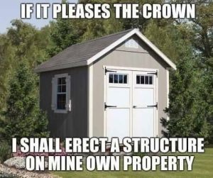 Stupid Bar Memes shedspscrownsbuildsstr