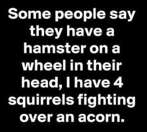 Stupid Bar Memes somesstersswheelsbrain