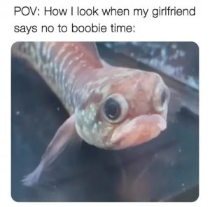 Stupid Bar Memes ssdomnesssmemes 1