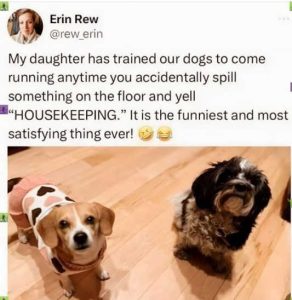Stupid Bar Memes sspillsdogssrunnin