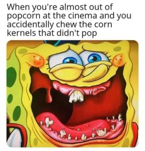 Stupid Bar Memes sucu9dymflxe1