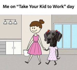 Stupid Bar Memes takeskirksday