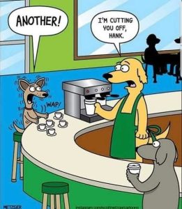 Stupid Bar Memes terrierscoffeuttingsyou
