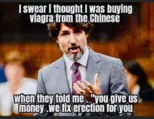Stupid Bar Memes trudeauschectionsele