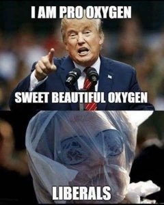 Stupid Bar Memes trumsliberalssm