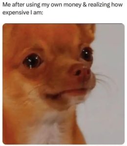 Stupid Bar Memes wnsmoneysrealizi
