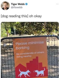 Stupid Bar Memes xsdogssnsminimizesbar