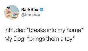 Stupid Bar Memes xsintruderstoshousesmy