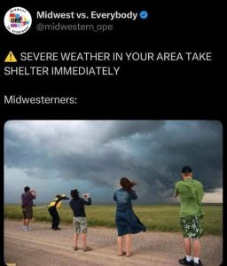 Stupid Bar Memes xssevasmidwestern