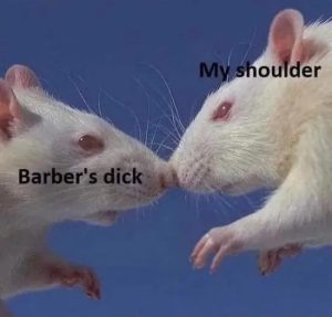 Stupid Bar Memes zaAE8CK