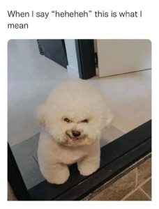 Stupid Bar Memes 02039758s347015