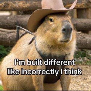 Stupid Bar Memes 023127s9054