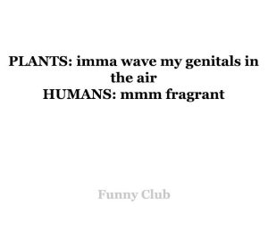 Stupid Bar Memes 1324s82788