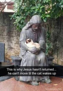 Stupid Bar Memes 1545261094353303583