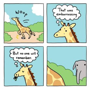 Stupid Bar Memes 504939s27930