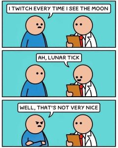 Stupid Bar Memes 5061s61114