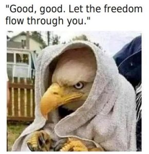 Stupid Bar Memes 68260s42661