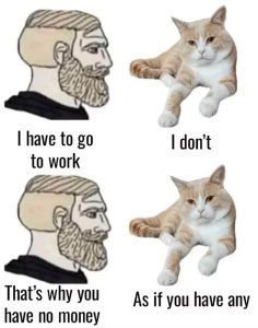 Stupid Bar Memes 68381d8465fdd