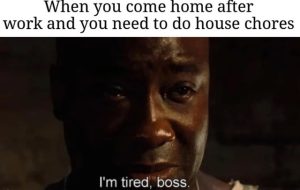 Stupid Bar Memes 68381eaf1e55c