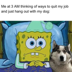Stupid Bar Memes 68381f4ea83fe