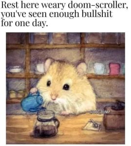 Stupid Bar Memes 6847f1615c583