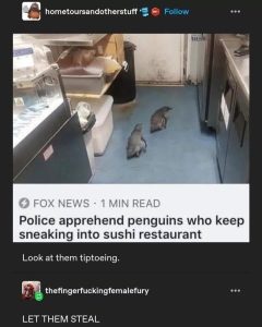 Stupid Bar Memes 684a97d41c91f