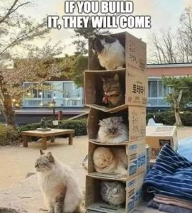 Stupid Bar Memes 684a983b35432