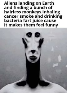 Stupid Bar Memes 684a9845948c1
