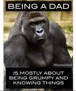 Stupid Bar Memes 684a985134984