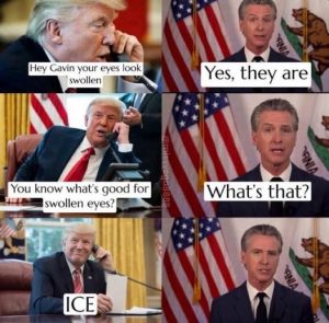 Stupid Bar Memes 8b961379a432d
