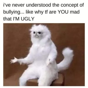 Stupid Bar Memes an7Dp0Essb