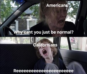 Stupid Bar Memes avyvbvnssb