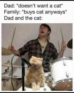 Stupid Bar Memes dadsdoesntswasssingin
