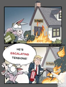 Stupid Bar Memes demresstrumpsna