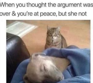 Stupid Bar Memes doversatspeacess