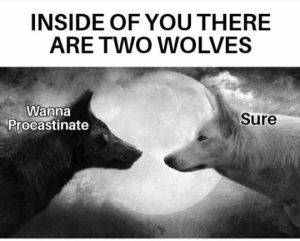 Stupid Bar Memes insidesyssprocrastin