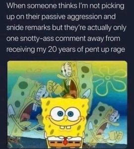 Stupid Bar Memes pasnssnidesremarks
