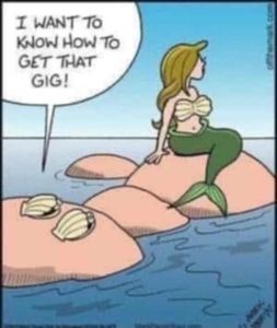 Stupid Bar Memes seashesgetsthat