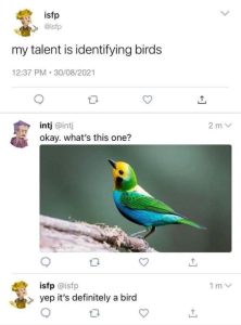 Stupid Bar Memes 1843406s73702