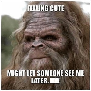 Stupid Bar Memes 231778s23453