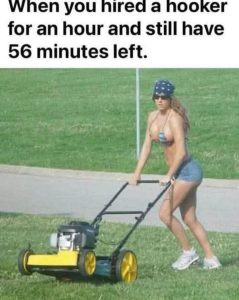 Stupid Bar Memes 260s196239