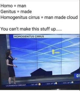 Stupid Bar Memes 2a74b998037c6bc1