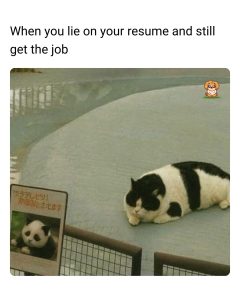 Stupid Bar Memes 5369472s901647