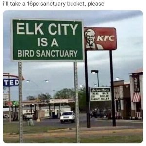 Stupid Bar Memes 55a32abe54