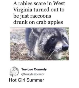 Stupid Bar Memes 5ab93e8b3caaf