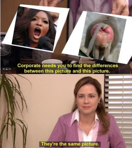 Stupid Bar Memes 5fca81748fc82