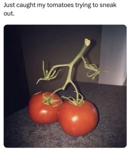 Stupid Bar Memes 68a5dda570e51