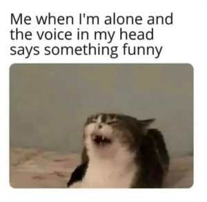 Stupid Bar Memes 68a5e1e3875d6